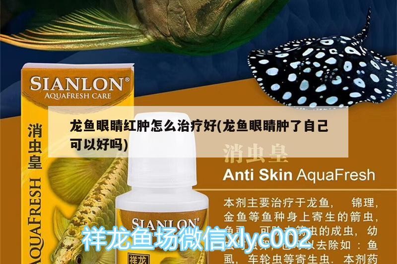 5新加坡版虎魚