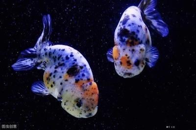 新樂市百盛家具水族工藝用品批發中心（新樂市百盛家具水族工藝用品批發中心電話）
