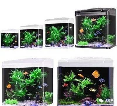 1.5米60寬魚缸多少升水：1.5米60寬魚缸多少升水60寬魚缸多少升水