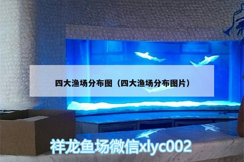 四大漁場(chǎng)分布圖（四大漁場(chǎng)分布圖片） 四大漁場(chǎng)分布圖（四大漁場(chǎng)分布圖片） 紅龍魚(yú)百科