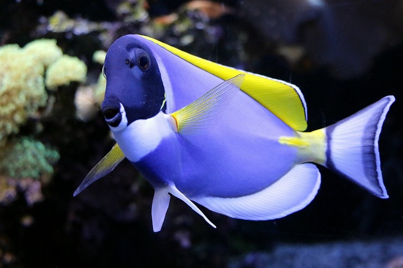 興安盟水族館魚缸用電
