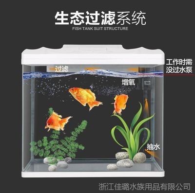 大魚缸怎么抽水出來的：大魚缸抽水可以通過多種方式進行
