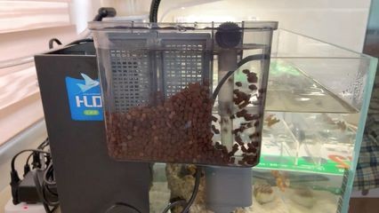 龍魚過濾材料 多久更換一次比較好