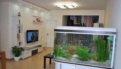 錦江區誠信水族館（錦江區誠信水族館地址）