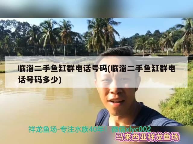 臨淄二手魚缸群電話號碼(臨淄二手魚缸群電話號碼多少)