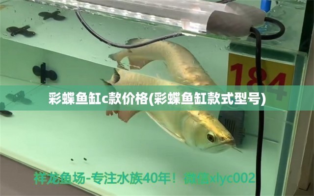 紅龍魚用白燈的好處有哪些（紅龍魚用白燈的好處有哪些呢）