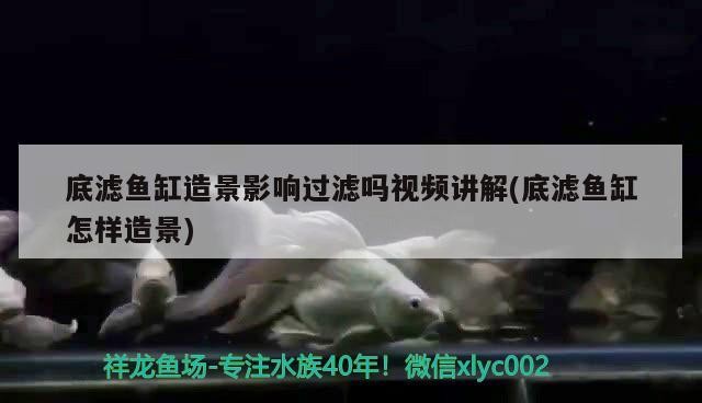 底濾魚缸造景影響過濾嗎視頻講解(底濾魚缸怎樣造景)