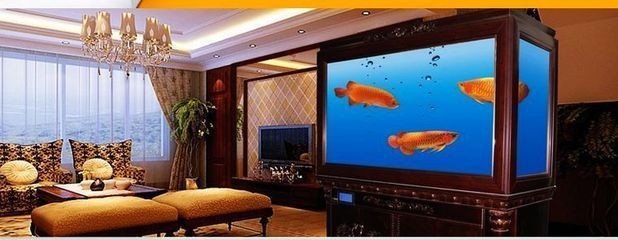 廣州魚缸專賣店推薦28篇智腦大模型提煉5個關鍵詞：廣州魚缸專賣店28篇智腦大模型提煉5個關鍵詞
