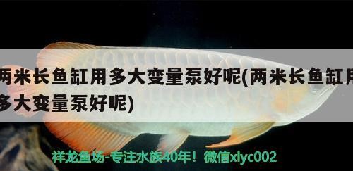 兩米長魚缸用多大變量泵好呢(兩米長魚缸用多大變量泵好呢)