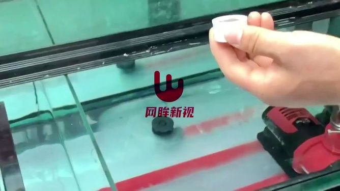 大魚缸空魚缸：養(yǎng)風水魚的技巧與注意事項與注意事項與注意事項