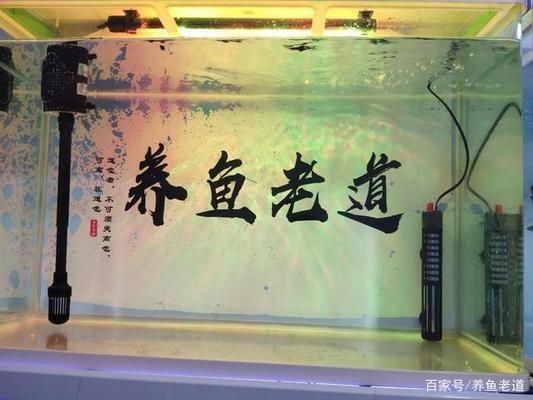 大梅家的魚缸好不好用：關(guān)于大梅家的魚缸使用體驗(yàn)根據(jù)搜索結(jié)果