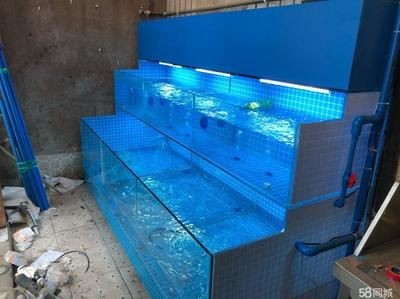 定做超市魚缸怎么做的：定做超市魚缸的基本流程 定做超市魚缸怎么做的：定做超市魚缸的基本流程 魚缸百科 第1張
