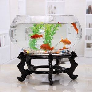 辦公桌上能放魚缸嗎：辦公桌上養魚風水