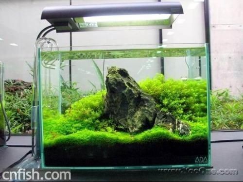 肅州區(qū)東方水族館（肅州區(qū)東方水族館