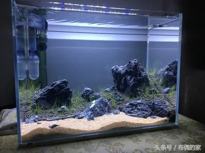 別人家魚缸拿回來好不好：從別人家拿回來的魚缸是否有好運或不好的影響？