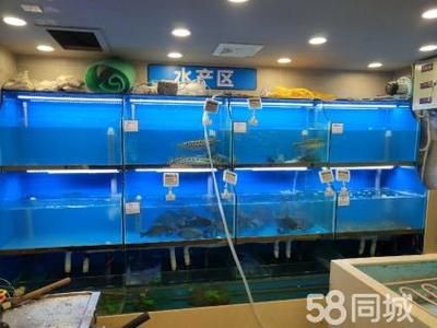 超市魚缸多少錢：超市魚缸價格為1.8萬元一件生態魚缸價格為8300元一件