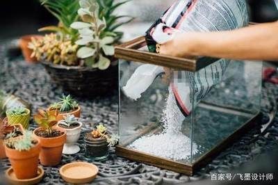 購買帶柜子的魚缸有其獨特的優(yōu)點，但也需要注意一些問題：如何選擇一個安全穩(wěn)固的魚缸柜