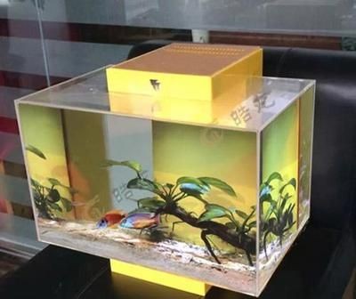 玻璃魚缸粘接技巧：如何粘接玻璃魚缸