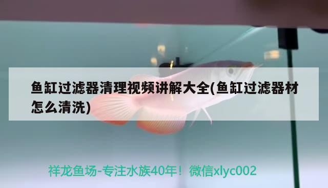 魚缸過濾器清理視頻講解大全(魚缸過濾器材怎么清洗)