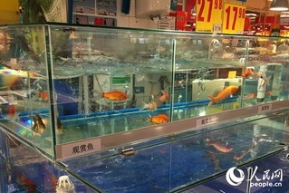 寧波市海曙藍(lán)水族經(jīng)營部（寧波市海曙藍(lán)水族經(jīng)營部地址）