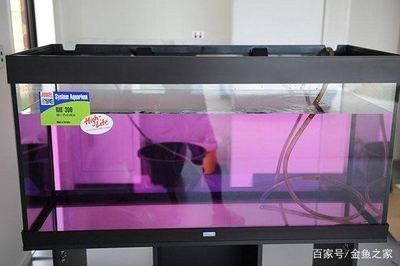 新買回來的魚缸可以直接養魚嗎？：剛買回來的魚缸不能直接養魚，新魚缸養護的常見誤區
