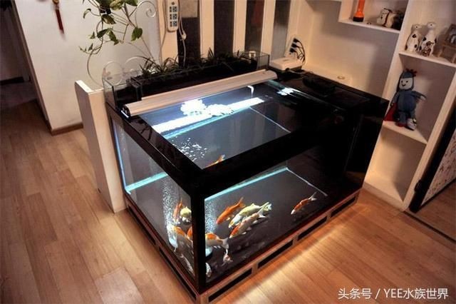 魚缸溢流區(qū)的秘密魚缸溢流區(qū)的秘密魚缸溢流區(qū)的設(shè)計(jì)：如何在底濾魚缸中實(shí)現(xiàn)既能吹底便又能打氣泡
