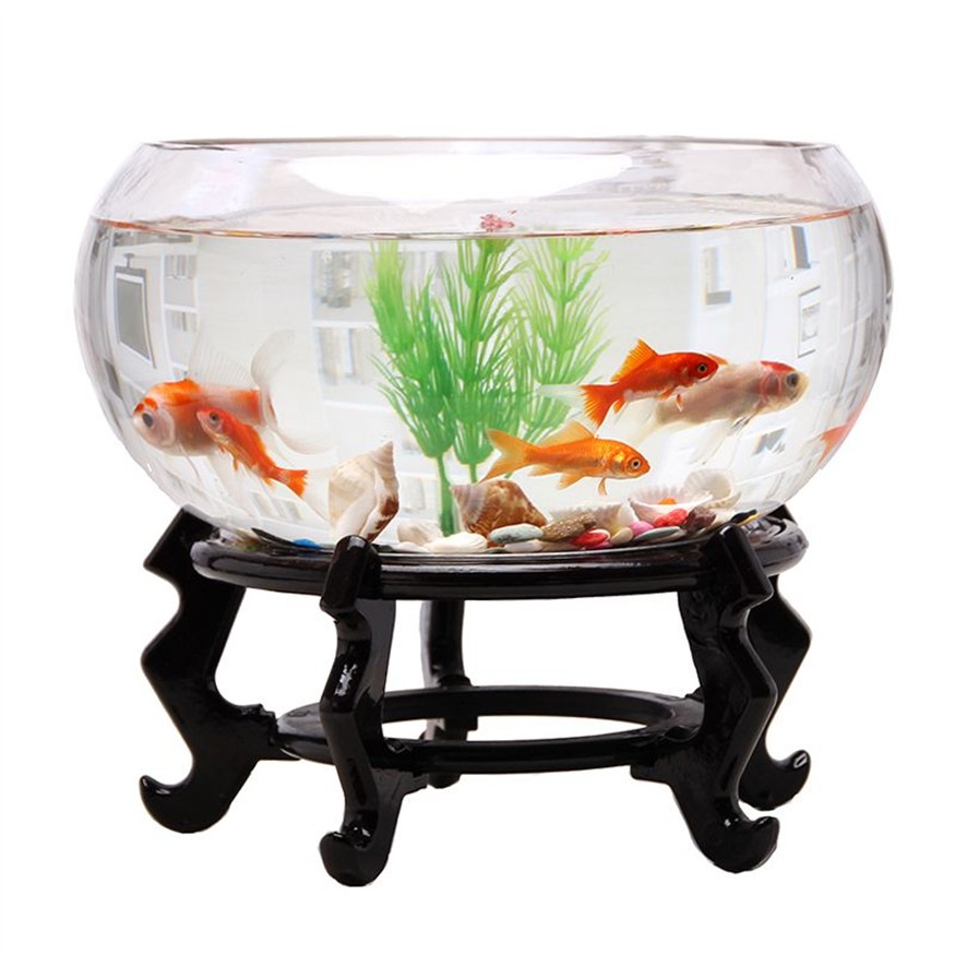 40厘米魚(yú)缸圖片：40厘米魚(yú)缸的圖片及相關(guān)信息：40厘米魚(yú)缸尺寸選擇技巧