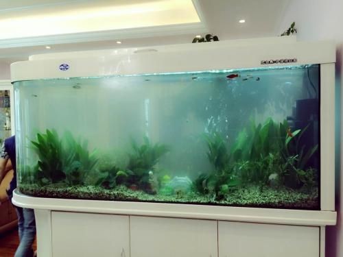 鋼化玻璃做魚缸的相關視頻推薦：鋼化玻璃做魚缸的注意事項