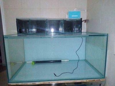 給大魚缸換水的頻率是固定的，而是需要根據多種因素來確定：給大魚缸換水的頻率不是固定的，而是需要根據多種因素來確定
