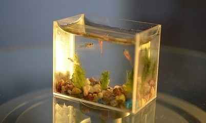 洛陽市老城區金帝水族館（洛陽市老城區金帝水族館電話）