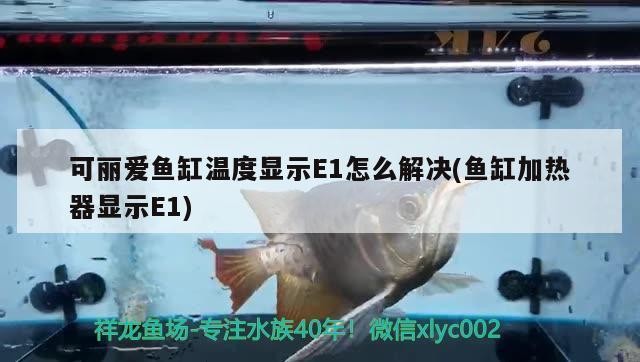 通渭縣鹿鹿山天池水族生態園有限公司（通渭縣鹿鹿山旅游）