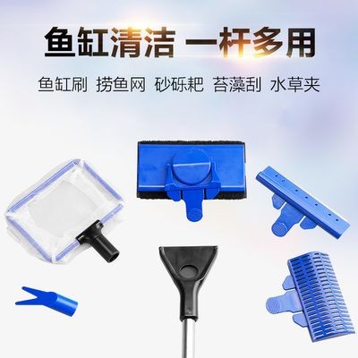 擦魚缸的工具魚：如何選擇合適的魚缸清潔工具