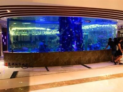 大型魚缸怎樣搬動(dòng)的：p魚缸搬運(yùn)安全注意事項(xiàng)