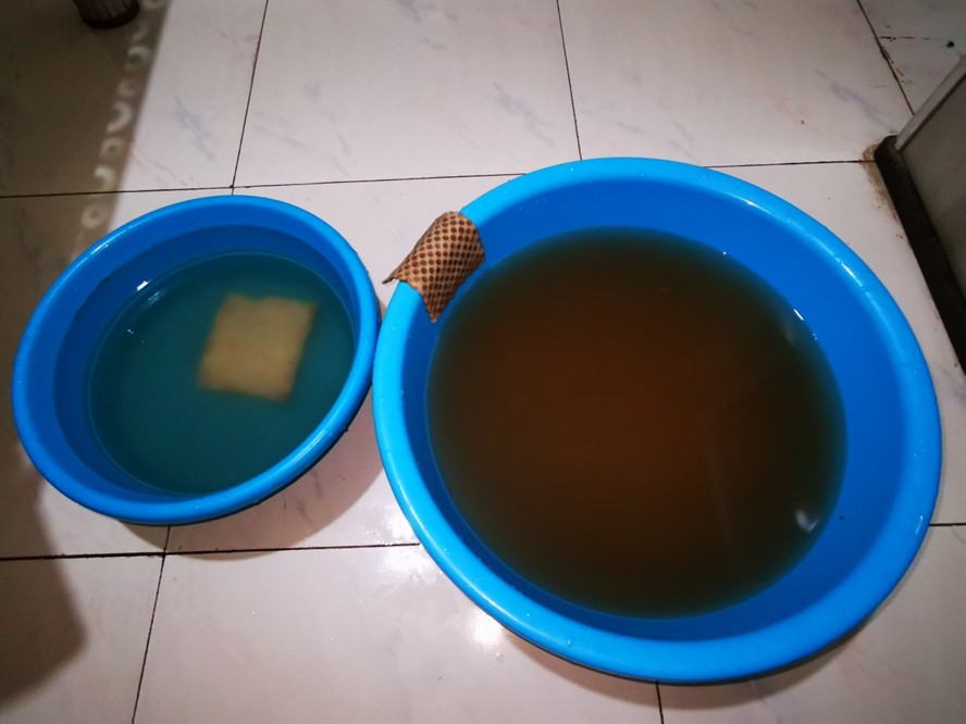 魚缸勤維護魚只猛如虎