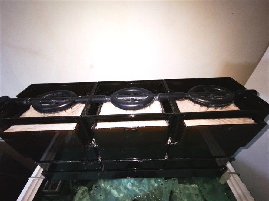 魚缸勤維護魚只猛如虎