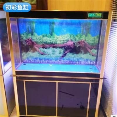 魚缸造景的歷史演變：風(fēng)景魚缸制作的歷史演變追蹤魚缸造景步驟和注意事項(xiàng)