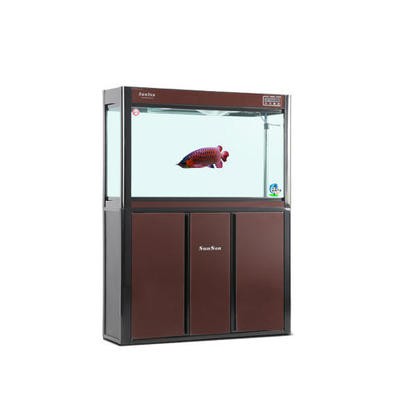 玉門市森森水族店（玉門市森森水族店地址）