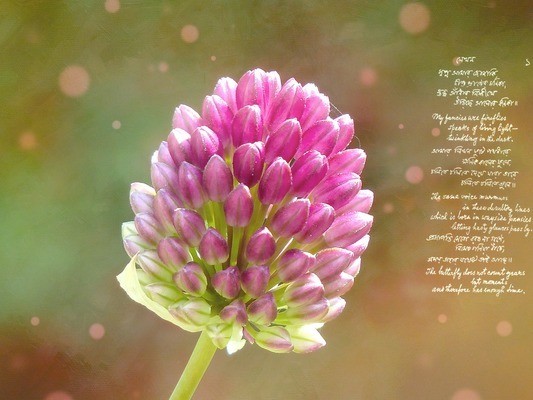 嘉峪關市七彩魚宮水族館（嘉峪關市七彩魚宮水族館