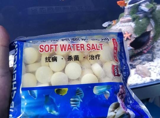 洛陽新通路電子商務有限公司(洛陽路通售后服務電話) 全國水族館企業名錄 第1張 洛陽新通路電子商務有限公司(洛陽路通售后服務電話) 洛陽新通路電子商務有限公司(洛陽路通售后服務電話) 全國水族館企業名錄 第1張