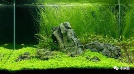 博山哪里賣魚缸便宜：博山地區售賣魚缸的一些地點和價格 博山哪里賣魚缸便宜：博山地區售賣魚缸的一些地點和價格 魚缸百科 第1張