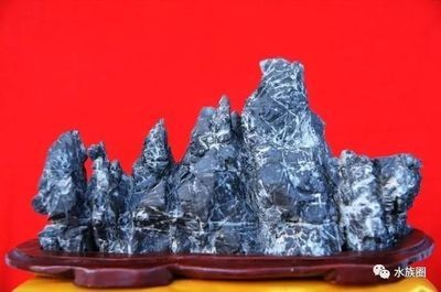 博山哪里賣魚缸便宜：博山地區售賣魚缸的一些地點和價格 博山哪里賣魚缸便宜：博山地區售賣魚缸的一些地點和價格 魚缸百科 第4張