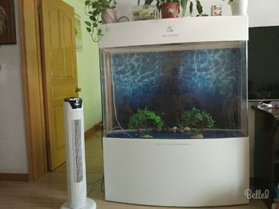 帶氧氣的魚缸多少錢一個：帶有內置氧氣裝置的魚缸價格如何選擇合適的魚缸氧氣泵
