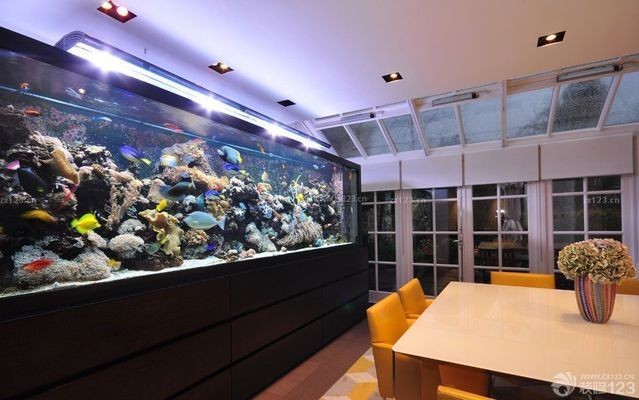 岳陽樓區有緣人爬寵水族館