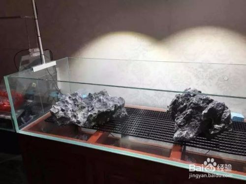 安定區欣遠水族魚館（安定區欣遠水族魚館電話） 安定區欣遠水族魚館（安定區欣遠水族魚館電話） 全國水族館企業名錄 第1張