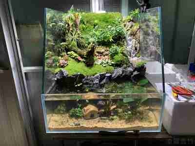 匯川區優優水族館（匯川區優優水族館