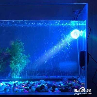 阜陽市潁州區(qū)博宇水族館（阜陽市潁州區(qū)博宇水族館地址）
