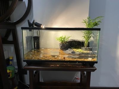 肅州區甲秀生態水族店（肅州區甲秀生態水族店 肅州區甲秀生態水族店（肅州區甲秀生態水族店 全國水族館企業名錄 第1張