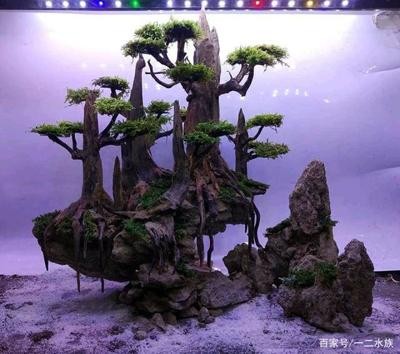 肅州區云龍水族館（肅州區云龍水族館