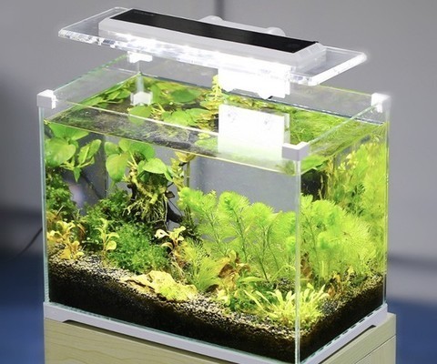 羅平宏銳水族館（羅平宏銳水族館 羅平宏銳水族館（羅平宏銳水族館 全國水族館企業(yè)名錄 第1張