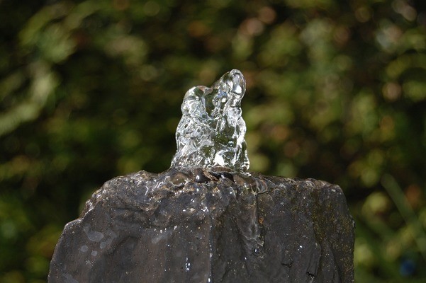 鄉(xiāng)寧縣昌寧森森水族館（鄉(xiāng)寧縣昌寧森森水族館電話）